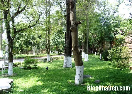 Biệt thự nhà vườn bình yên ở Hòa Lạc