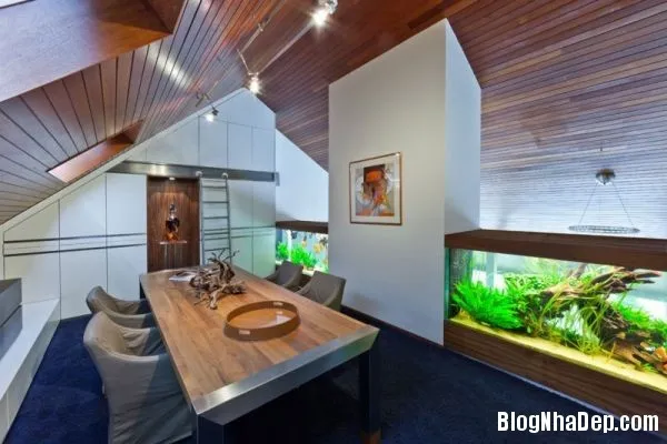 Biệt thự xinh đẹp với bể cá gắn tường ở Hà Lan