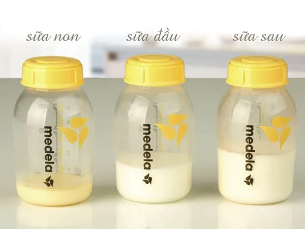 Mua Sữa Non Cho Trẻ Sơ Sinh Loại Nào Tốt Nhất Hiện Nay?